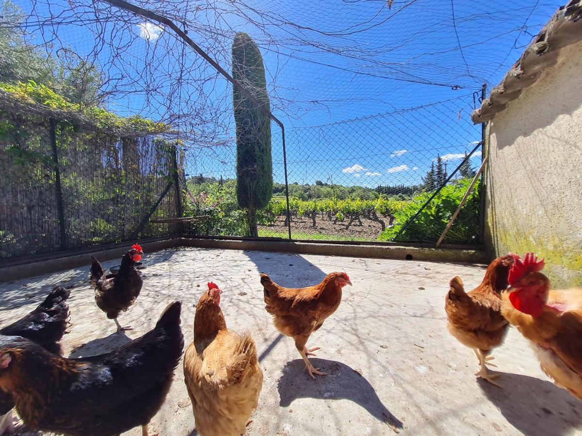 ホテル Domaine La Condamine Crillon Le Brave エクステリア 写真