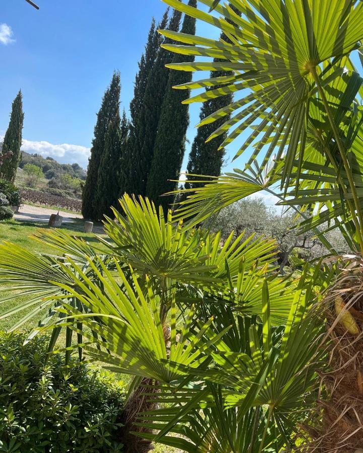 ホテル Domaine La Condamine Crillon Le Brave エクステリア 写真